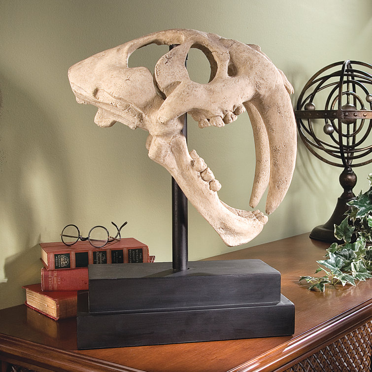 Design Toscano SaberToothed Tiger Skull Artifact Figurine & Reviews